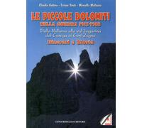 Le piccole Dolomiti nella guerra 1915-'18. Dalla Vallarsa alla val Lagarina, dal