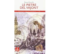 Le pietre del Vajont