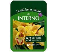 Le più belle piante da interno. 50 schede illustrate