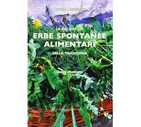 Le più diffuse erbe spontanee alimentari della tradizione
