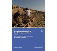 Le plan-séquence. Enjeux esthétiques et éthiques