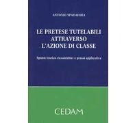 Le pretese tutelabili attraverso l'azione di classe. Spunti teorico-ricostruttivi e prassi applicativa