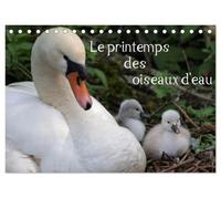 Le printemps des oiseaux d'eau (Calendrier de bureau 2027 DIN A5 vertical), CALVENDO calendrier mensuel: Le printemps marque la naissance des oiseaux d'eau