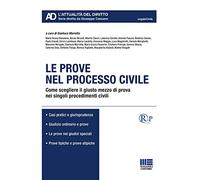 Le prove nel processo civile. Come scegliere il giusto mezzo di prova nei singoli procedimenti civili
