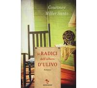 Le radici dell'albero d'ulivo