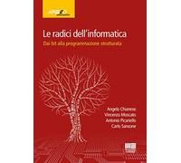 Le radici dell'informatica. Dal bit alla programmazione strutturata