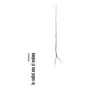 Le radici non si vedono