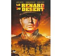 Le Renard Du Desert
