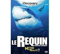 Le requin mangeur d'hommes : mythe ou realite