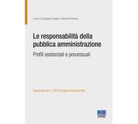 Le responsabilità della pubblica amministrazione. Profili sostanziali e processuali