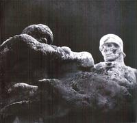 Le Revers Sanglant - Un Combat Perdu D'Avance