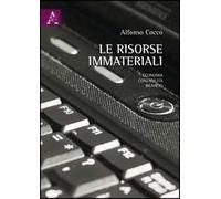 Le risorse immateriali. Economia, contabilità, bilancio