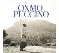 Le Roi Sans Carrosse