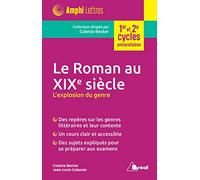 Le roman au XIXe siècle: L'exploration du genre
