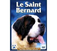 Le saint-bernard