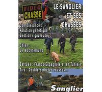Le sanglier et ses chasses : connaissance, gestion, chien, tirs - Vidéo Chasse - Chasse du grand gibier