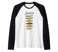 Le sanguisughe medicinali Maglia con Maniche Raglan