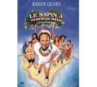 Le sapin à les boules