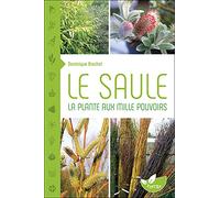 Le saule: La plante aux mille pouvoirs