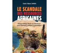Le scandale des ressources africaines: Pourquoi l'Afrique extrait sans transformer causes historiques politiques économiques ?