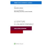 Le scritture e il bilancio contabile. Logica, metodo, esposizione