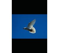 Le secret de la méthode: La Puissance du Changement Intérieur