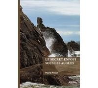 Le secret enfoui sous les algues