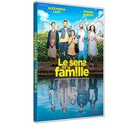 Le Sens de la Famille (DVD) Lamy Alexandra Dubosc Franck Millet Christiane