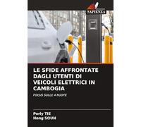 LE SFIDE AFFRONTATE DAGLI UTENTI DI VEICOLI ELETTRICI IN CAMBOGIA: FOCUS SULLE 4 RUOTE