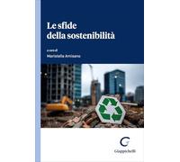 Le sfide della sostenibilità