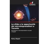 Le sfide e le opportunità dei microimprenditori a Toronto: Microfinanza e microimprenditoria nei paesi sviluppati