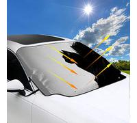 Le Soldat Rose 2 en Concert Au Tria