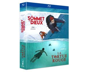 Le sommet des dieux + la tortue rouge