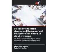 Le specificità delle strategie di ingresso nel mercato di un Paese in via di sviluppo: Uno studio di ricerca sulle strategie di ingresso dell'industria leggera dell'efficienza energetica