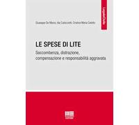 Le spese di lite