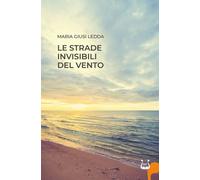 Le strade invisibili del vento. Nuova ediz - [NeP edizioni]