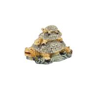 Le Tartarughe Feng Shui