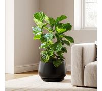 LE TAUCI Fioriere in ceramica, vasi per piante da 30 cm, vasi per piante da interno con fori di drenaggio e piattini, fioriere moderne adatte a supporti per piante da metà secolo, vasi da fiori per