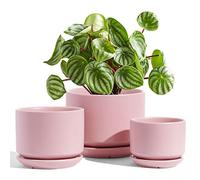 LE TAUCI Set da 3 Vaso in Ceramica per Piante, 11+13+17 cm di Diametro Vaso per Piante da Interno, Vasi Piccoli con Sottovaso e Foro di Drenaggio, Regali per la Mamma, Rosa