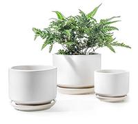 LE TAUCI Set da 3 Vaso in Ceramica per Piante, 11+13+17 cm di Diametro Vaso per Piante da Interno, Vasi Piccoli con Sottovaso e Foro di Drenaggio, Regali per la Mamma, Bianco