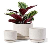 LE TAUCI Set da 3 Vaso in Ceramica per Piante, 11+13+17 cm di Diametro Vaso per Piante da Interno, Vasi Piccoli con Sottovaso e Foro di Drenaggio, Regali per la Mamma, Beige