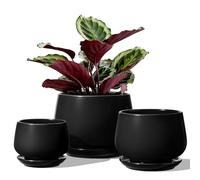 LE TAUCI Set Di 3 Vaso Per Piante In Ceramica, 10+13+16 cm Vaso per Piante da Interno Con Foro Di Drenaggio E Piattino, Vaso Da Fiori Per Interni Con Foro In Rete, Regalo Per Mamma, Nero