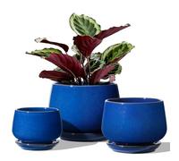 LE TAUCI Set Di 3 Vaso Per Piante In Ceramica, 10+13+16 cm Vaso per Piante da Interno Con Foro Di Drenaggio E Piattino, Vaso Da Fiori Per Interni Con Foro In Rete, Regalo Per Mamma, Blu Zaffiro