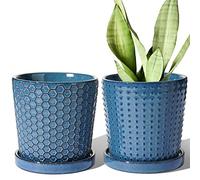 LE TAUCI Vasi in ceramica per piante, vasi per piante da 14 cm con drenaggio e piattino, vasi per piante grasse, piante serpenti, cactus e altro ancora, set di 2, blu smalto reattivo