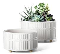 LE TAUCI Vasi per Piante Grasse, 16.5+20 cm Vasi per Piante da interno in Ceramica con Foro di Drenaggio, Fioriere da Balcone Bassi Rotondi per Piante Grasse, Set di 2, Bianco