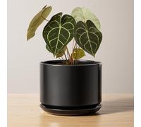 LE TAUCI Vaso in Ceramica 17 cm, Vaso con Sottovaso Integrato e Foro di Drenaggio, Piccolo Vaso Moderno, Robusto e Durevole per Casa o Ufficio, Nero Esmaltado Mate