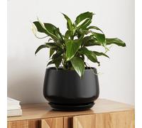LE TAUCI - Vaso in ceramica, vaso da 25,4 cm con foro di drenaggio e piattino - Vaso per piante da interno durevole per arredamento moderno, nero