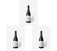 LE TENUTE VALDO - Merlot Friuli DOC 750ml (Confezione da 3)