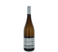 Le Terre Di Federico Verdeca Murgia Igp Botromagno