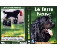 Le terre-neuve